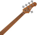 JET Guitars JB-305 DBL