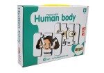 Mamido Vzdělávací puzzle části těla