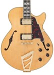 D'Angelico Deluxe SS Satin Honey