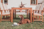 Zahradní křeslo pevné ENGLAND (FSC 100%)175710 spolstrem
