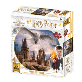 Puzzle 3D Harry Potter - Bradavice a Hedvika / 500 dílků - Kolektiv