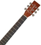 Tanglewood TR 3 E