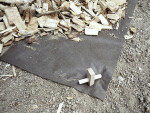 GEOMAT Dřevěný kotvící kolík Geopin Wood délka 30 cm, kolíků balení