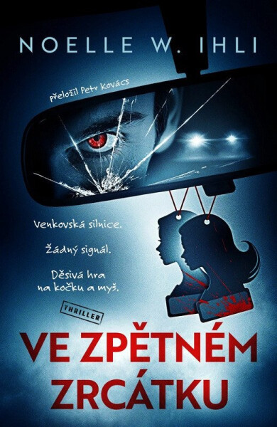 Ve zpětném zrcátku - Noelle W. Ihli