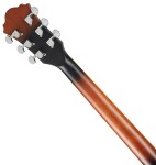 Ibanez AS53L Tobacco