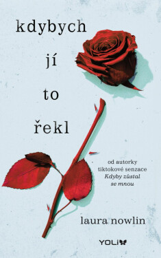 Kdybych jí to řekl - Laura Nowlin