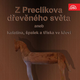 Z Preclíkova dřevěného světa aneb Kulatina, špalek a tříska ve křoví - Vladimír Preclík