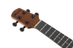 Ibanez AUC10E Natural