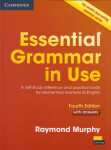 Essential Grammar in Use