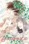 Kimi ni Todoke: From Me to You: Soulmate, Vol. 3 - Karuho Shiina