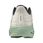 Mizuno Wave Rider 29 J1GC250309