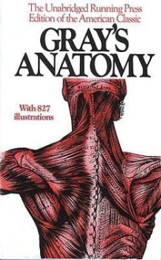 Gray´s Anatomy - Henry Gray