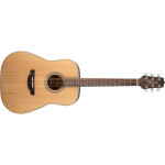 Takamine GD20, Rosewood Fingerboard - Natural