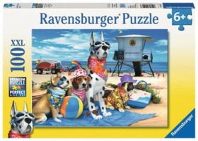 Ravensburger Vstup na pláž psům zakázán