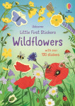 Little First Stickers Wildflowers - Caroline Young