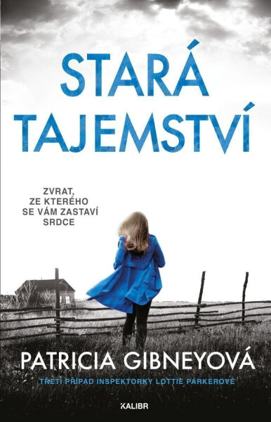 Stará tajemství - Patricia Gibneyová