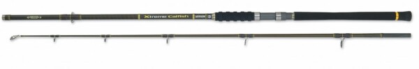 Mivardi Prut Xtreme Catfish 2,4m 200-600g