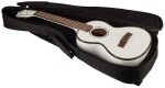 Lanikai JMS-AWT2