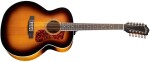 Guild F-2512E Deluxe Archback ATB