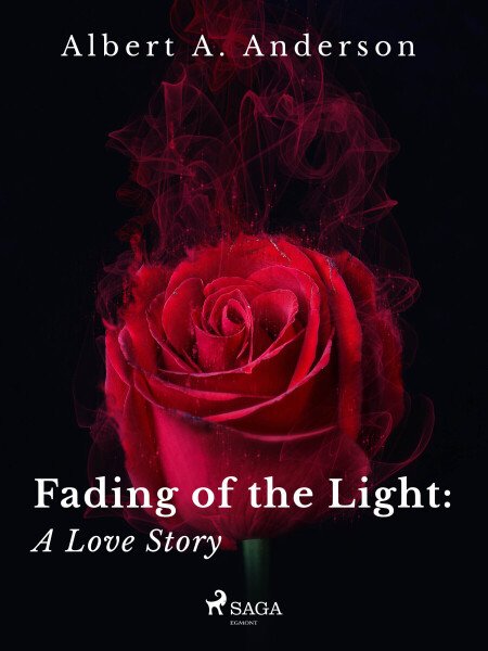 Fading of the Light: A Love Story - Albert A. Anderson