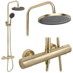 REA - Sprchový set Avanti Brush Gold REA-P8920
