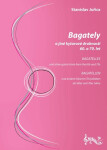 Bagately jiné kytarové drobnosti 60. 70. let