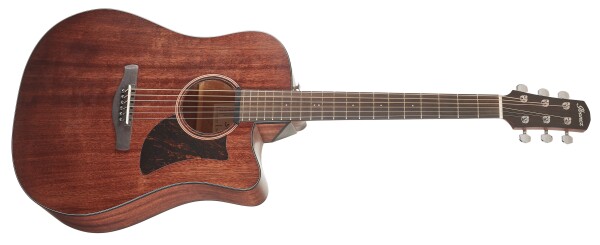 Ibanez AAD190CE Natural