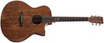 Tanglewood TWX6CEBW