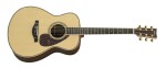 Yamaha LS56 ARE