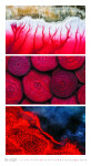 Nástěnný kalendář 2027 Graspo Colours