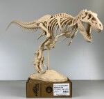 PLA filament tělový skin human color 1,75 mm Aurapol 1 kg