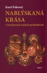 Nablýskaná krása kuchyních našich prababiček Karel Pokorný