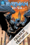 Batman - Ticho 2, kniha první - Jeph Loeb