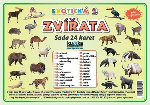 Sada 24 karet - zvířata (exotická 2) - Petr Kupka