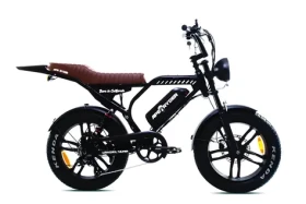 Capriolo APE RYDER MANDRIL ULTRA 2025 černá / Elektrokolo (292032-C)