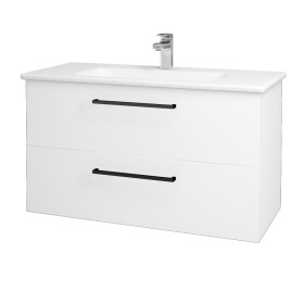 Dřevojas - Umyvadlová skříňka GIO SZZ2 100 - M01 Bílá mat / Úchytka T06 / M01 Bílá mat 202774H