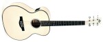Sigma Guitars GM-1E-MFW
