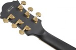 Ibanez AF75G Black