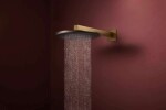 HANSGROHE - Raindance Alive S Hlavová sprcha, průměr 30 cm, kartáčovaný bronz 24520140
