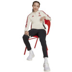Adidas Liverpool FC Hoody Jr Mikina JV9019 152 cm