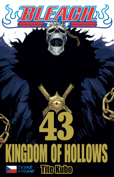 Bleach 43: Kingdom of Hollows - Noriaki Kubo