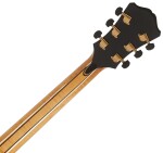 Eastman AR910CE-BD-TC