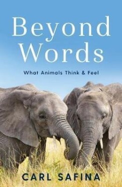 Beyond Words : What Animals Think and Feel - Carl Safina