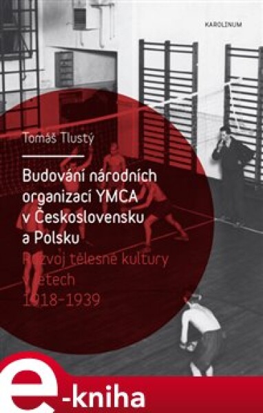 Budování národních organizací YMCA v Československu a Polsku. Rozvoj tělesné kultury v letech 1918–1939 - Tomáš Tlustý e-kniha