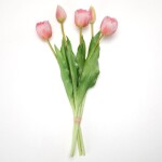 Svazek tulipány plnokvěté 39 cm, 5 ks