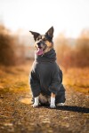 Zeno fleecová kombinéza pro psa Barva: Šedá, Délka zad (cm): 71, Obvod hrudníku: 90 - 100 cm