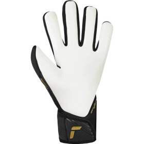 Reusch Fastgrip Silver brankářské rukavice M 55 70 700 7707 9