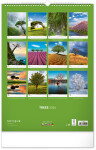 Kalendář 2024 nástěnný: Stromy, 33 × 46 cm