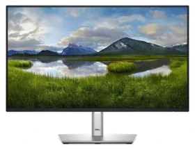 23.8" Dell P2425H černá / Monitor / IPS / FHD / 100Hz / HDMI+DP (DELL-P2425H)