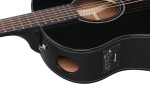 Ibanez AAM100E Black